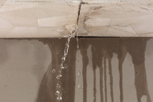 Professional Water Damage Inspection technician working in Burton, TX